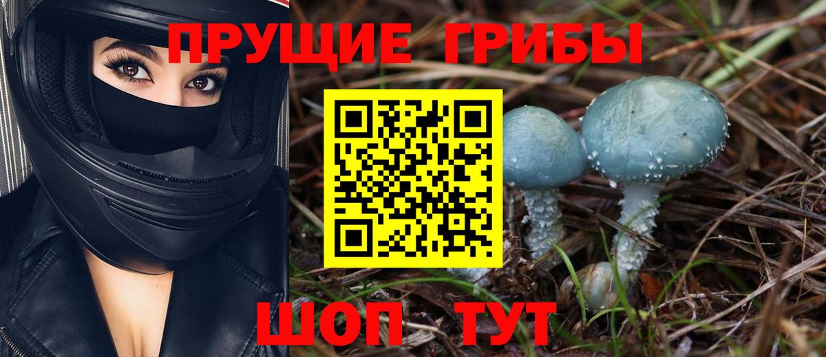 Белгород  Псилоцибиновые грибы мицелий  Галлюциногенные грибы MAGIC MUSHROOMS  Вход с VPN 